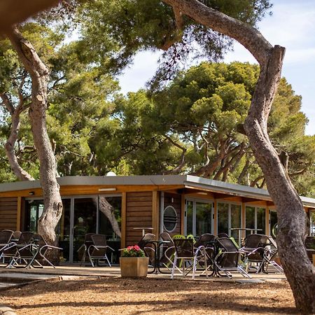 Domaine Du Lazaret - Village Vacances 3 Etoiles En Bord De Mer 塞特港 外观 照片